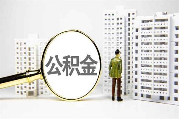 白山代提公积金（代提公积金犯法吗）